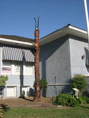 clovis-farmers-market