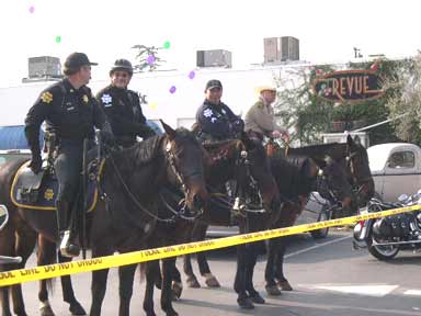 mardi-gras-security